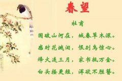 春望原文,拼音版,翻译及赏析